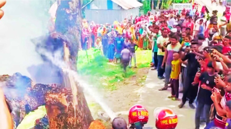 চিলমারীতে শতবর্ষী কড়ই গাছে রহস্যজনক আগুন নেভাতে ব্যর্থ ফায়া