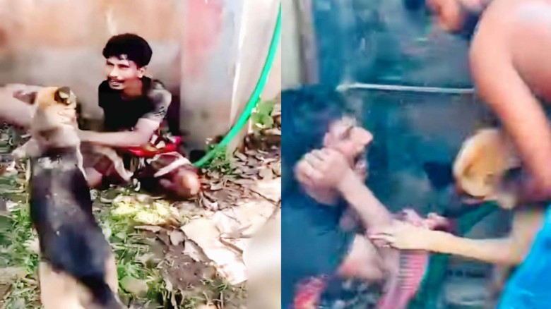 কুমিল্লার বুড়িচংয়ে স্টিল মিলে চুরির অভিযোগে আটক যুবককে কুকুর