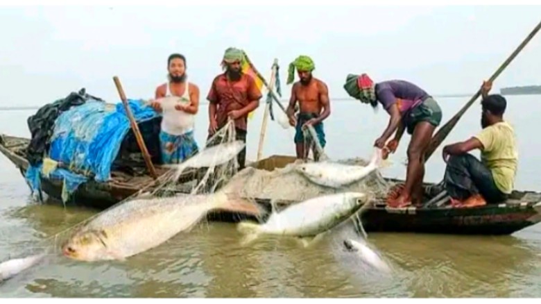 ৪ অক্টোবর থেকে ২৫ অক্টোবর পর্যন্ত ২২ দিন ইলিশ ধরা নিষিদ্ধ।