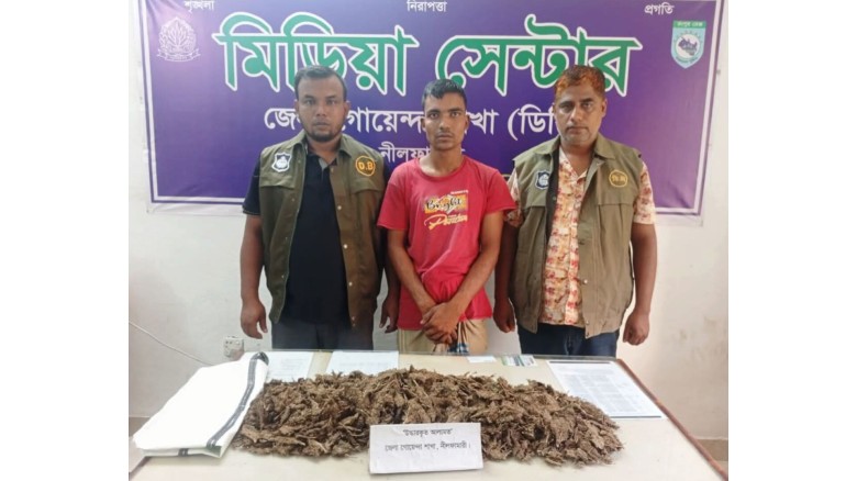 নীলফামারীতে গোয়েন্দা পুলিশের অভিযানে দেড় কেজি গাঁজাসহ মাদক ব